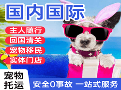 宜春明月山空运公司国际宠物托运 【国